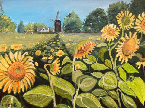Doesburgermolen1