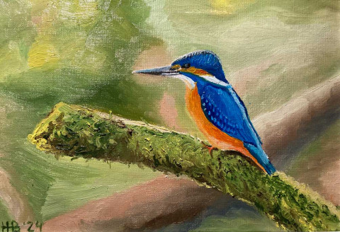 Ijsvogel