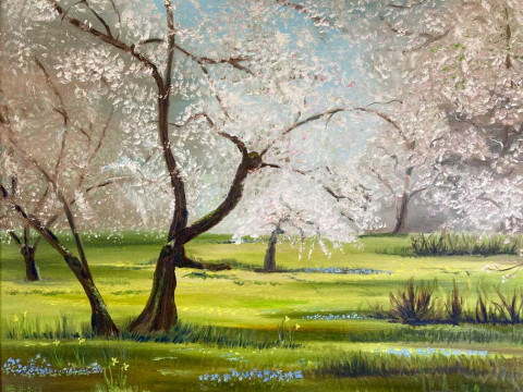Kersenboomgaard
