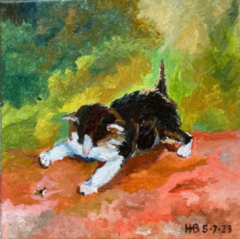 Kitten