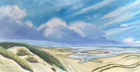Lucht boven vlieland1