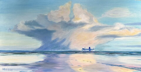 Lucht boven vlieland2