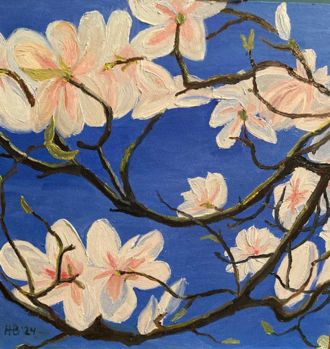 Magnolia