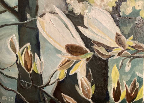 Magnoliatak