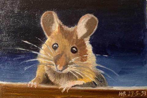 Muis1