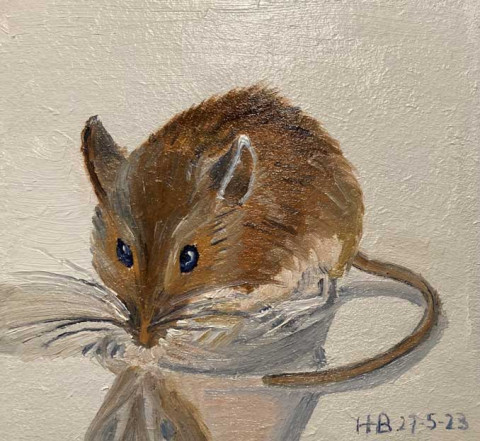 Muis2