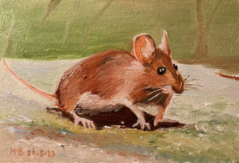 Muis3