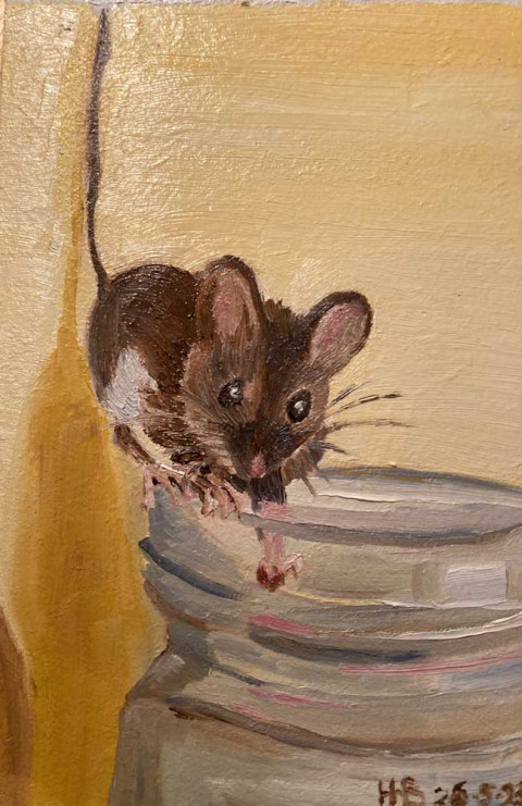 Muis4