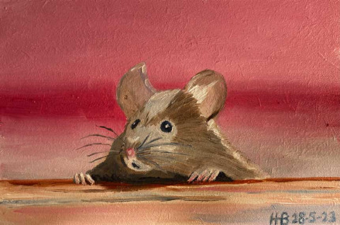 Muis5