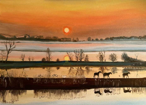 Ooipolder