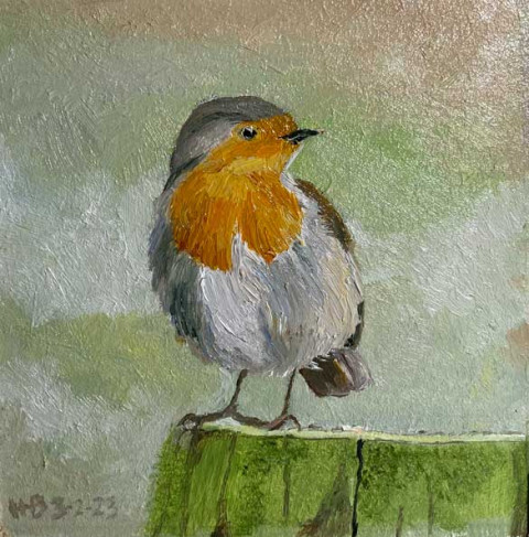 Roodborst