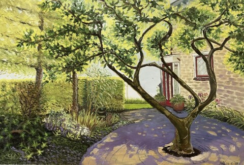 Schaduwtuin met magnolia