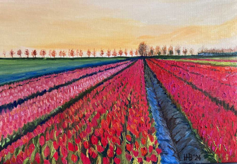 Tulpenveld1