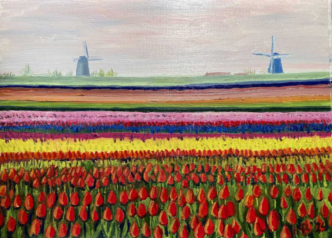 Tulpenveld2